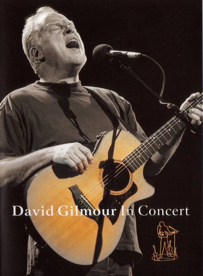 DAVID GILMOUR - IN CONCERT (DVD) 